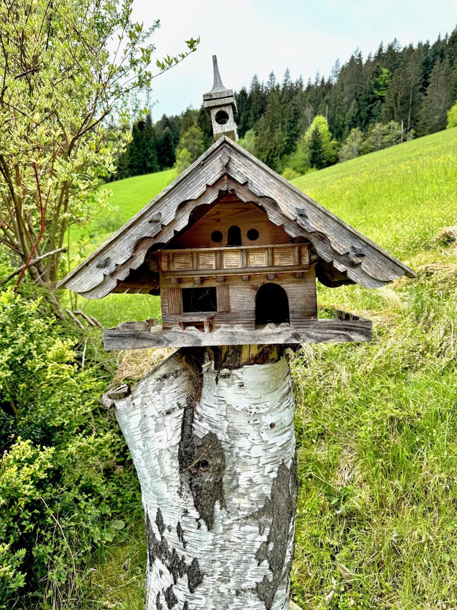 5* Panorama Chalet Mit Sauna By Belle Stay Going am Wilden Kaiser Εξωτερικό φωτογραφία